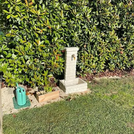 Daire Appartamento Con Giardino Privato E Piscina *
